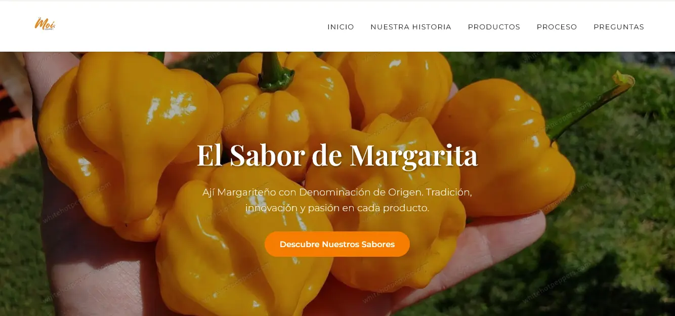 Servicios web en cloud: landing express, landing pro, web corporativa y premium